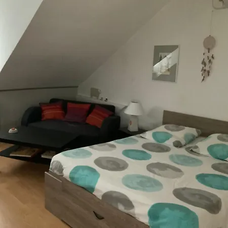 Apartamento Coquet F1 Chez Francine *